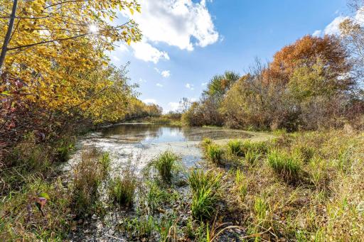 This property includes a pond, which offers gorgeous views.
