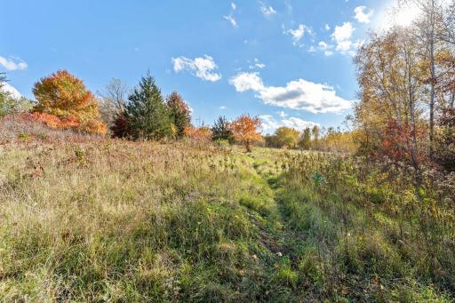 This gorgeous property is the perfect spot to build your dream home!