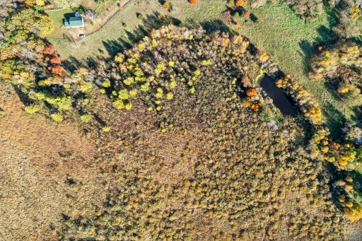 This property also includes portions of low land, which are perfect for viewing wildlife.