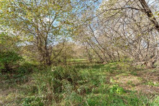 This property offers multiple possible building sites.