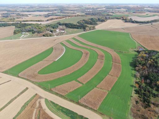 TBD County Road 19, Lanesboro, MN 55949