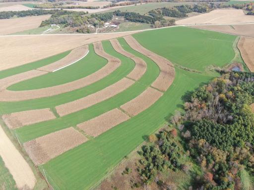 TBD County Road 19, Lanesboro, MN 55949