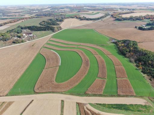 TBD County Road 19, Lanesboro, MN 55949