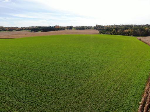 TBD County Road 19, Lanesboro, MN 55949