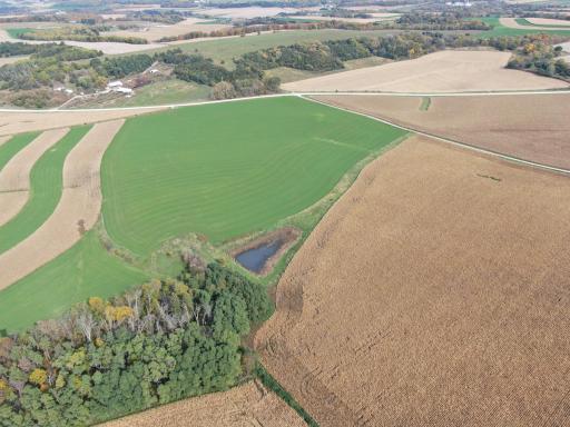 TBD County Road 19, Lanesboro, MN 55949