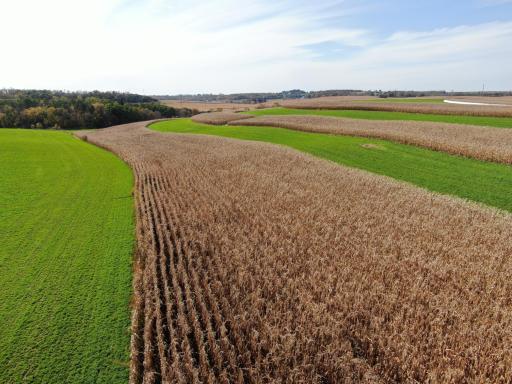 TBD County Road 19, Lanesboro, MN 55949