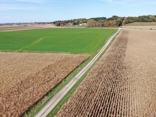TBD County Road 19, Lanesboro, MN 55949
