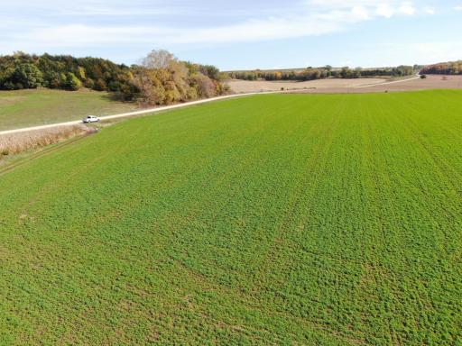 TBD County Road 19, Lanesboro, MN 55949