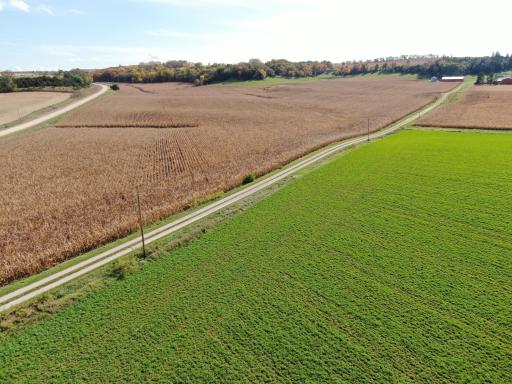 TBD County Road 19, Lanesboro, MN 55949