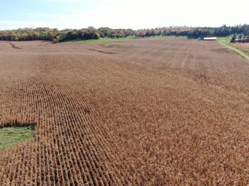 TBD County Road 19, Lanesboro, MN 55949