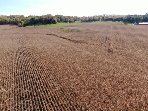 TBD County Road 19, Lanesboro, MN 55949