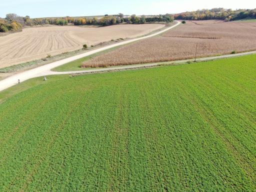 TBD County Road 19, Lanesboro, MN 55949