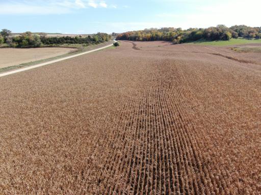 TBD County Road 19, Lanesboro, MN 55949