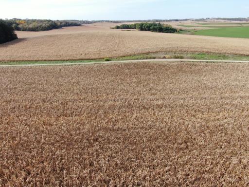 TBD County Road 19, Lanesboro, MN 55949