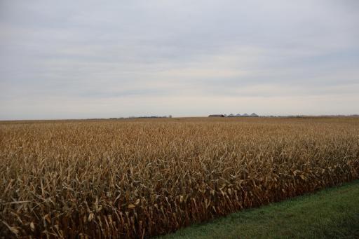 TBD SE 134th Ave / Cass County Rd 32, Tower City, ND 58071