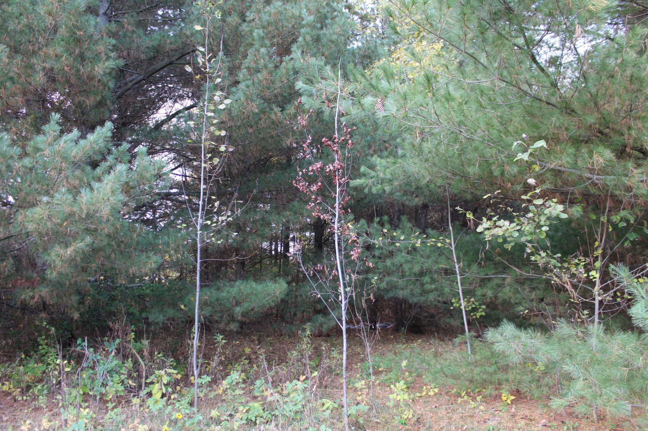 IMG_2947.JPG