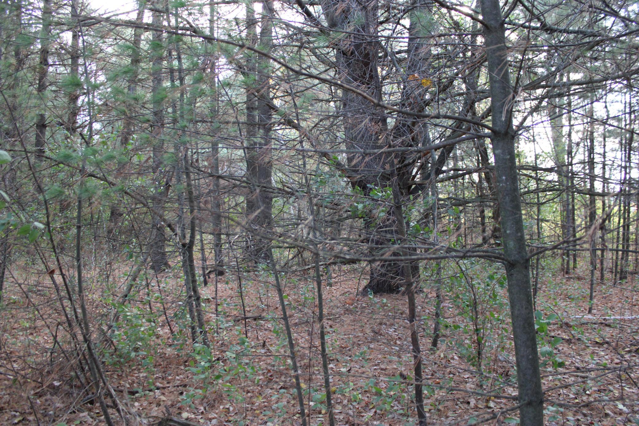 IMG_2936.JPG