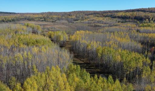 TBD French Rd., Chisholm, MN 55719
