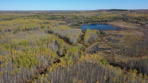TBD French Rd., Chisholm, MN 55719