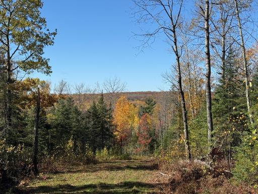 TBD French Rd., Chisholm, MN 55719