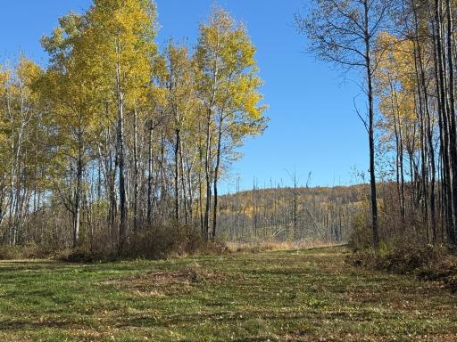 TBD French Rd., Chisholm, MN 55719