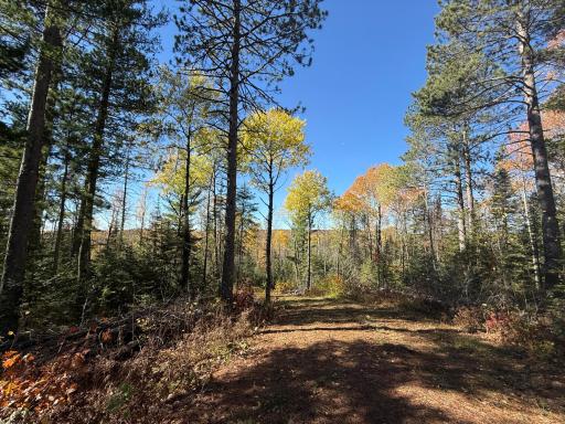 TBD French Rd., Chisholm, MN 55719