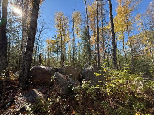 TBD French Rd., Chisholm, MN 55719
