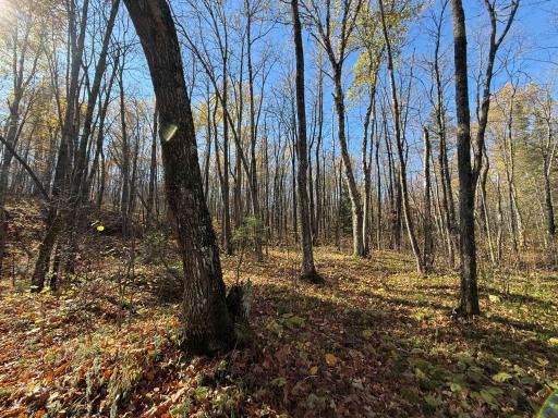 TBD French Rd., Chisholm, MN 55719