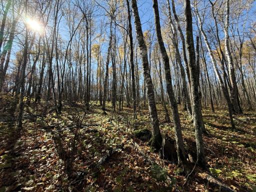 TBD French Rd., Chisholm, MN 55719