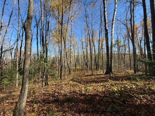 TBD French Rd., Chisholm, MN 55719