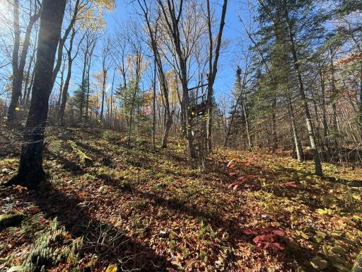 TBD French Rd., Chisholm, MN 55719