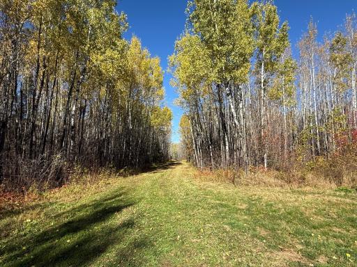 TBD French Rd., Chisholm, MN 55719