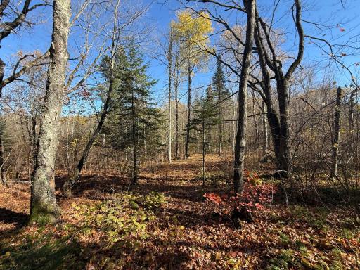 TBD French Rd., Chisholm, MN 55719