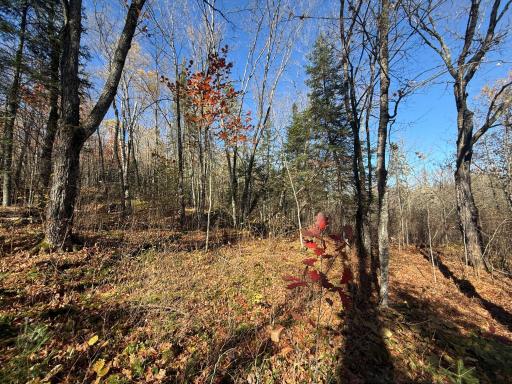 TBD French Rd., Chisholm, MN 55719
