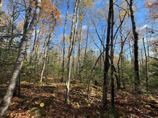 TBD French Rd., Chisholm, MN 55719