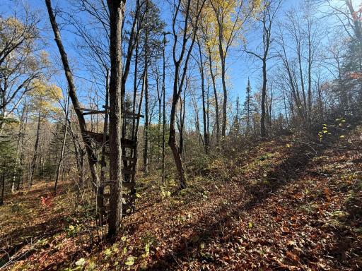 TBD French Rd., Chisholm, MN 55719