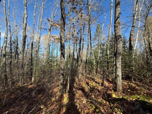 TBD French Rd., Chisholm, MN 55719