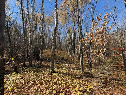 TBD French Rd., Chisholm, MN 55719
