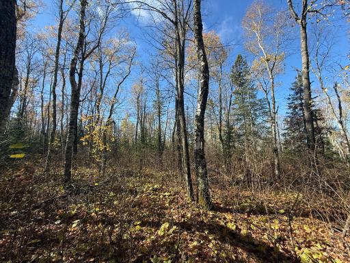 TBD French Rd., Chisholm, MN 55719