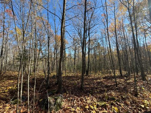 TBD French Rd., Chisholm, MN 55719