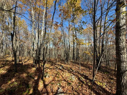 TBD French Rd., Chisholm, MN 55719