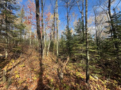 TBD French Rd., Chisholm, MN 55719