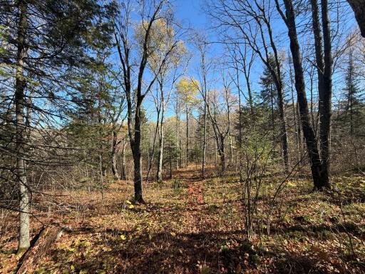TBD French Rd., Chisholm, MN 55719