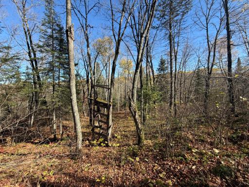 TBD French Rd., Chisholm, MN 55719
