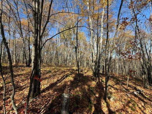 TBD French Rd., Chisholm, MN 55719