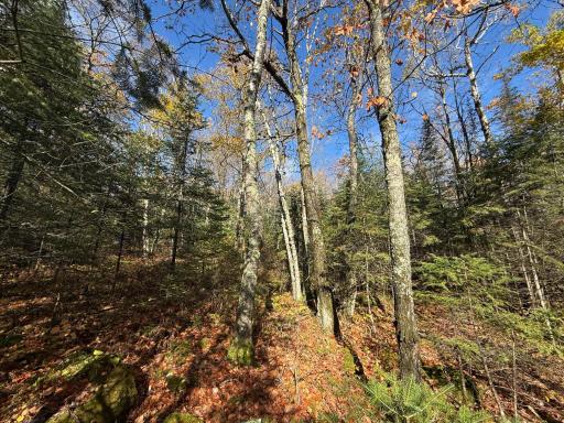 TBD French Rd., Chisholm, MN 55719