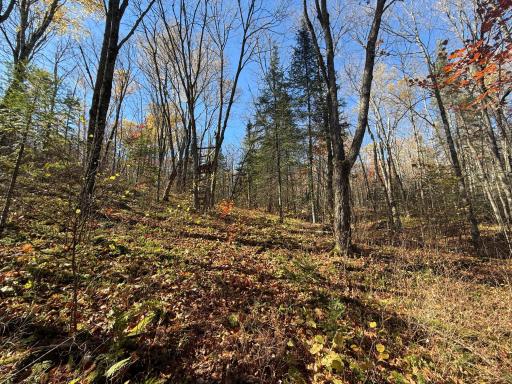 TBD French Rd., Chisholm, MN 55719