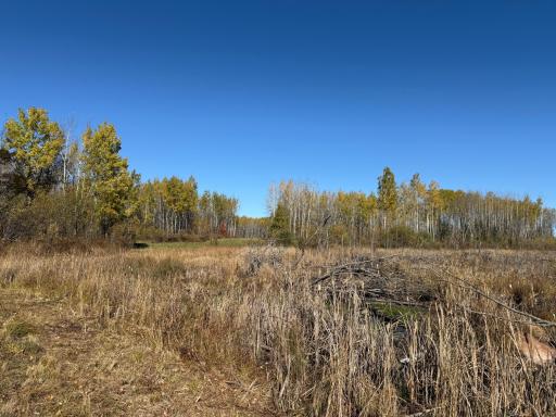 TBD French Rd., Chisholm, MN 55719