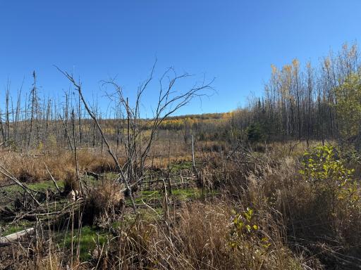 TBD French Rd., Chisholm, MN 55719
