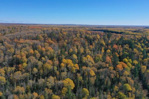 TBD French Rd., Chisholm, MN 55719